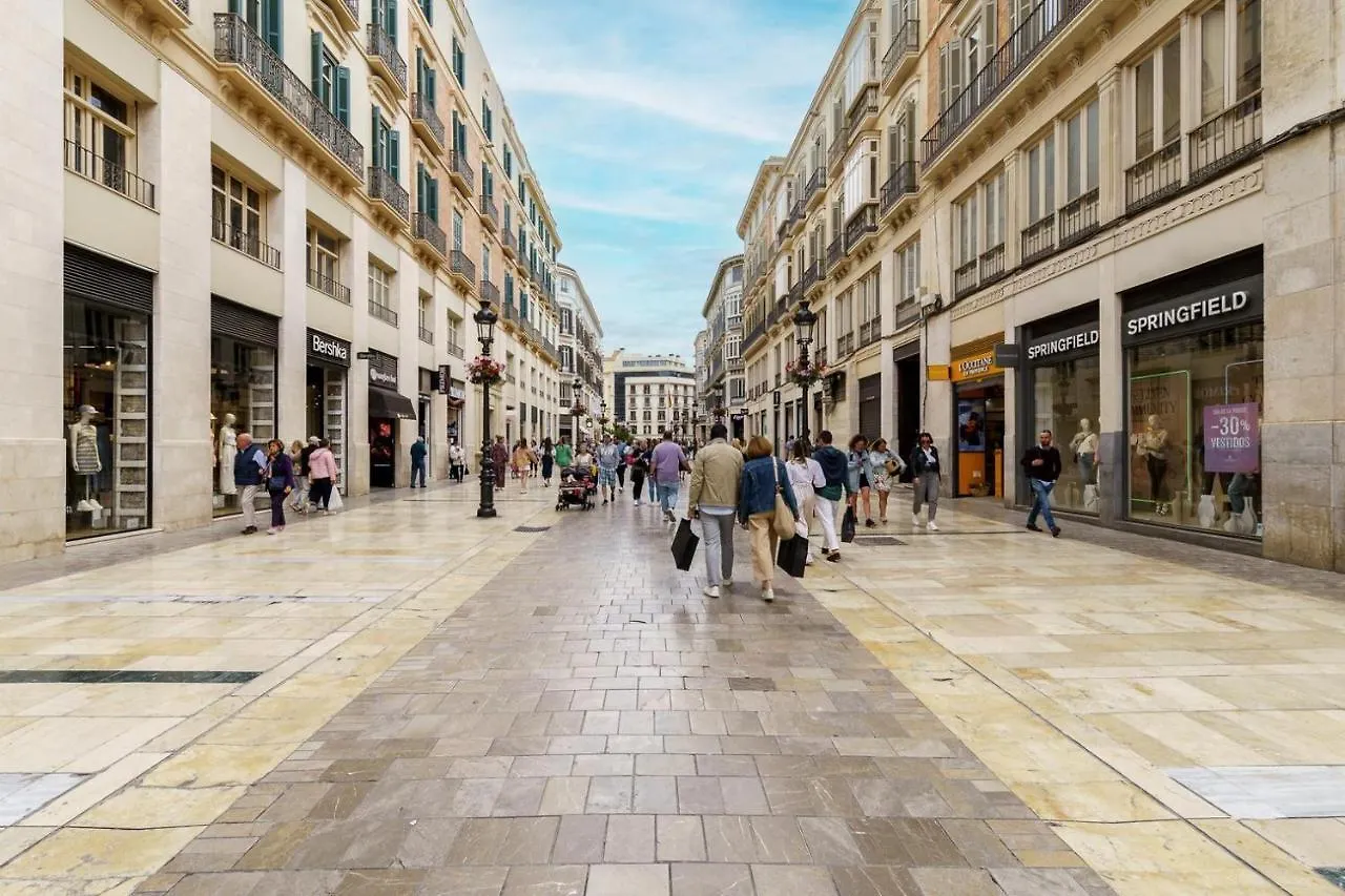 Apartment Apartamento Moderno Calle Larios Malaga