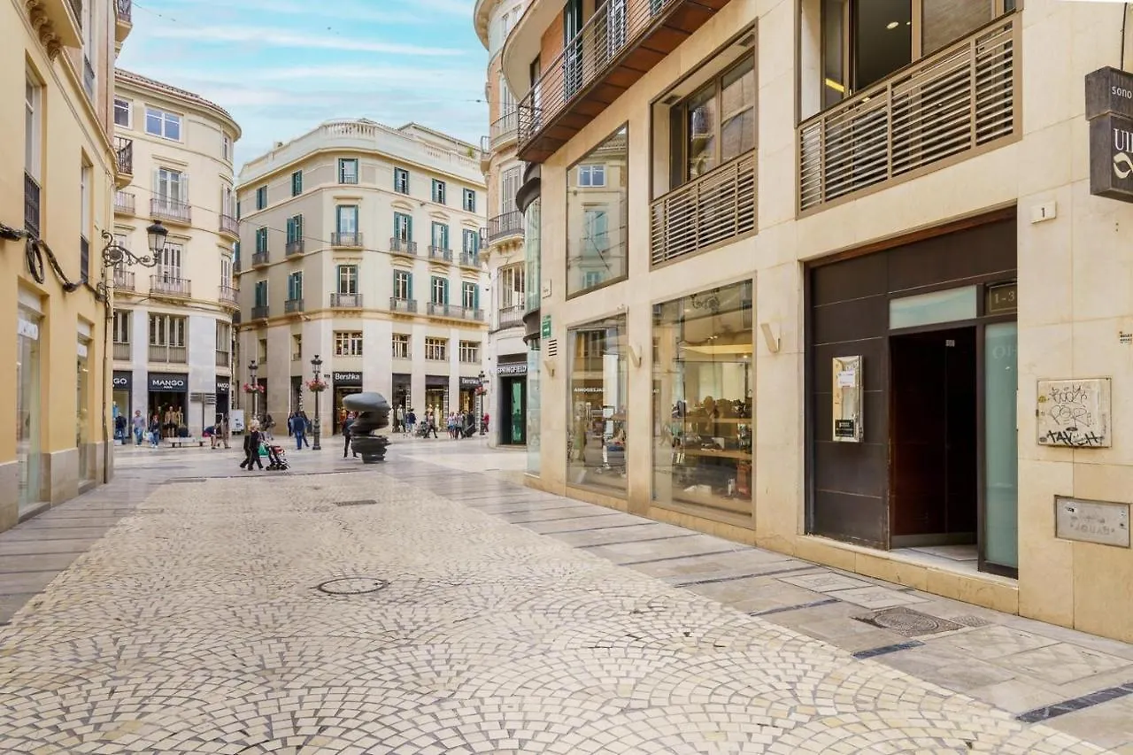 Apartamento Moderno Calle Larios location